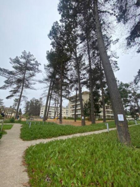 Depto Condominio ParqueMar, El Tabo